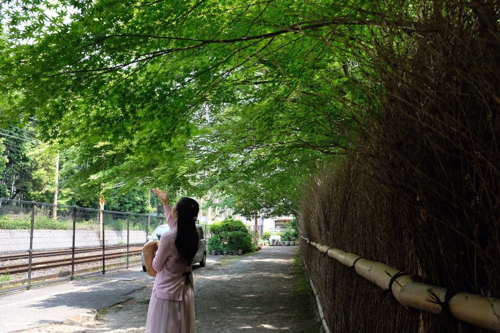 京都自助遊攻略