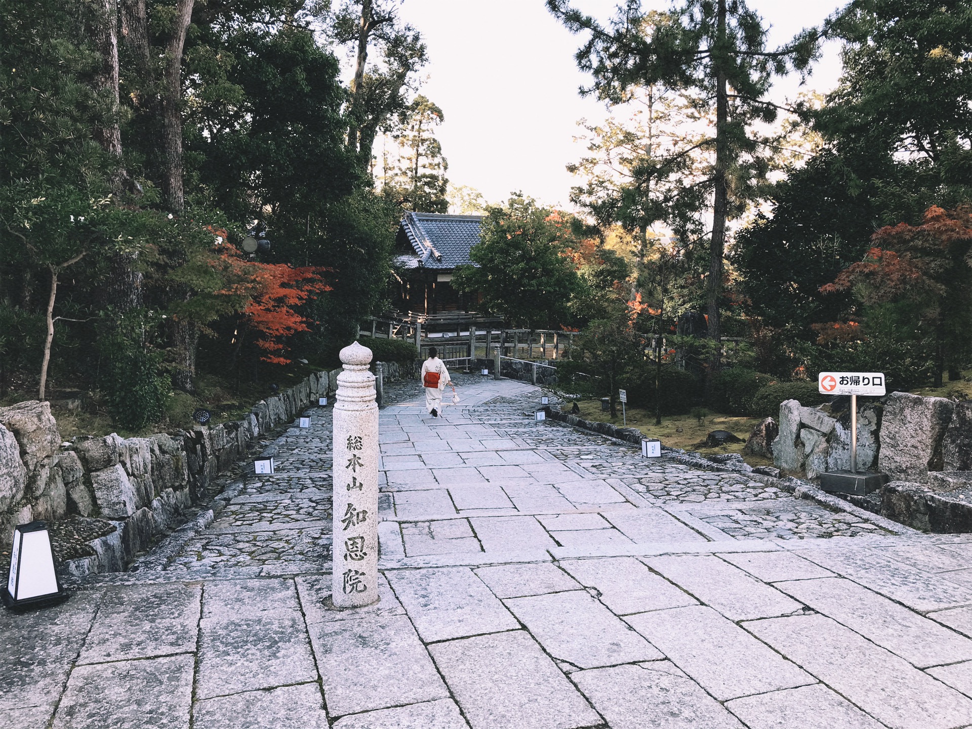 京都自助遊攻略