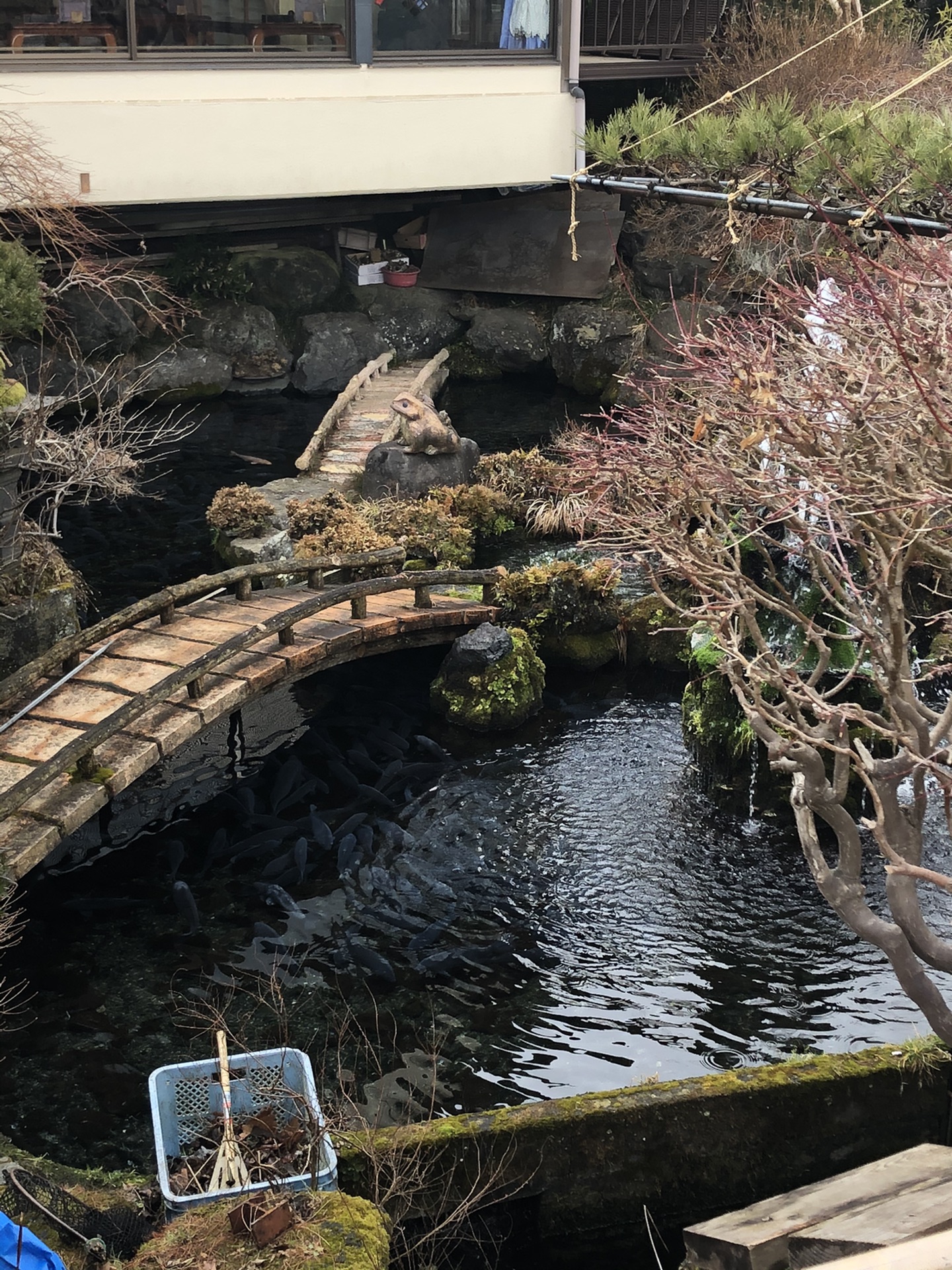 東京自助遊攻略