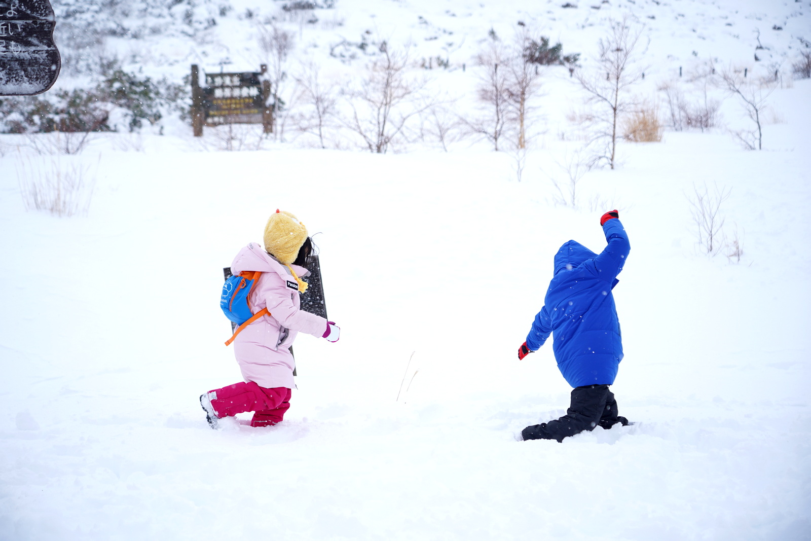 北海道自助遊攻略