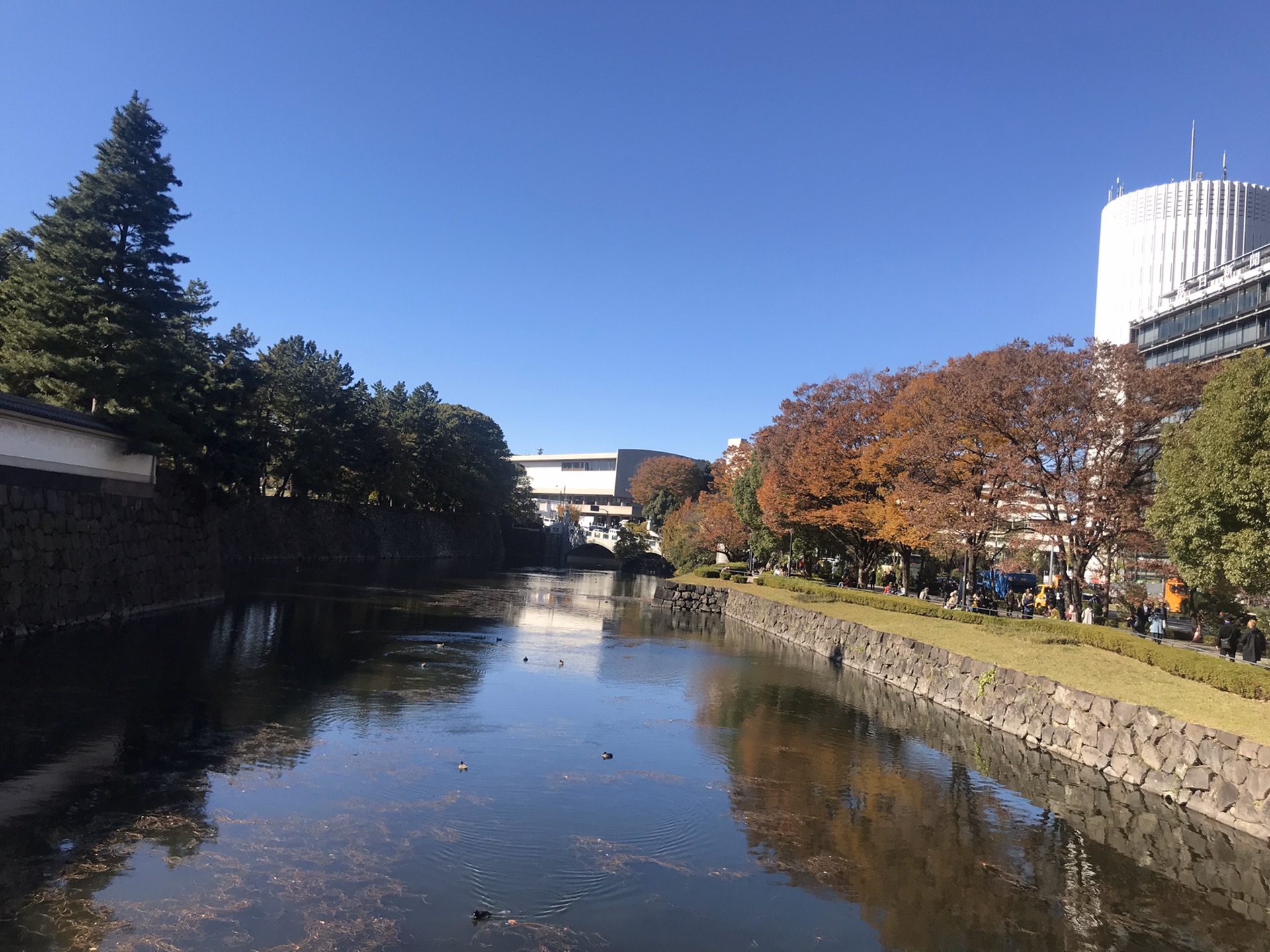 東京自助遊攻略