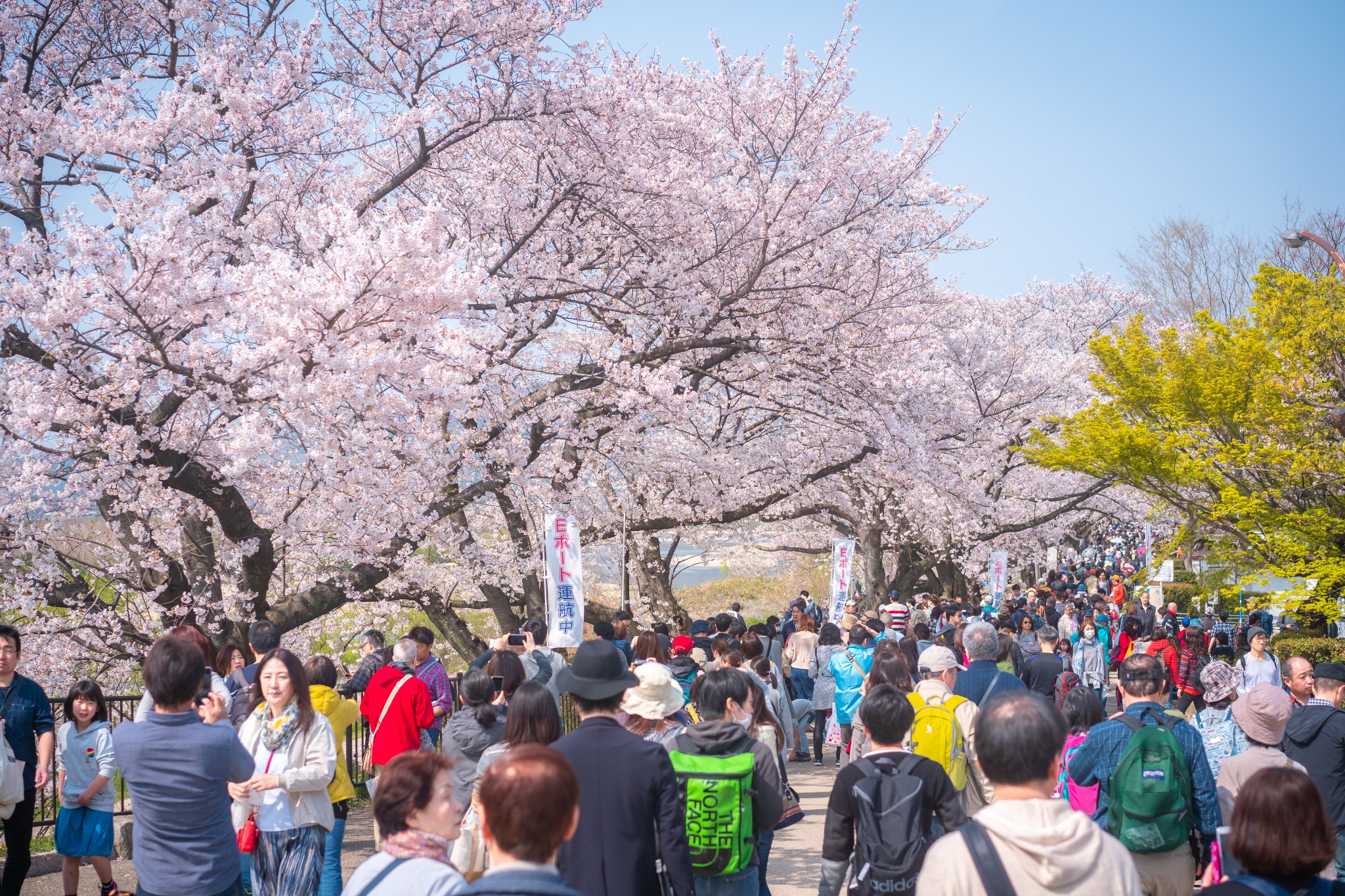 京都自助遊攻略