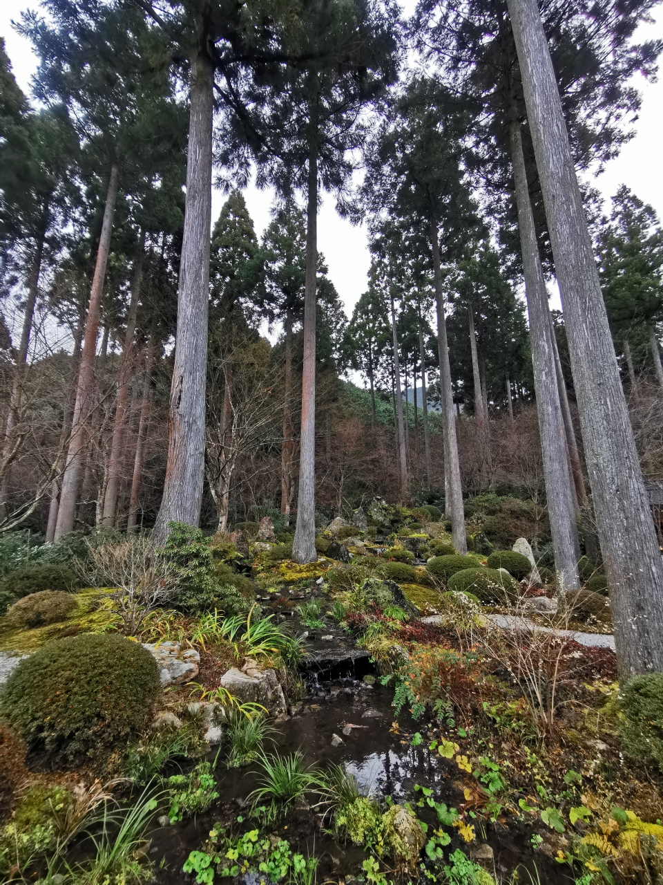 京都自助遊攻略