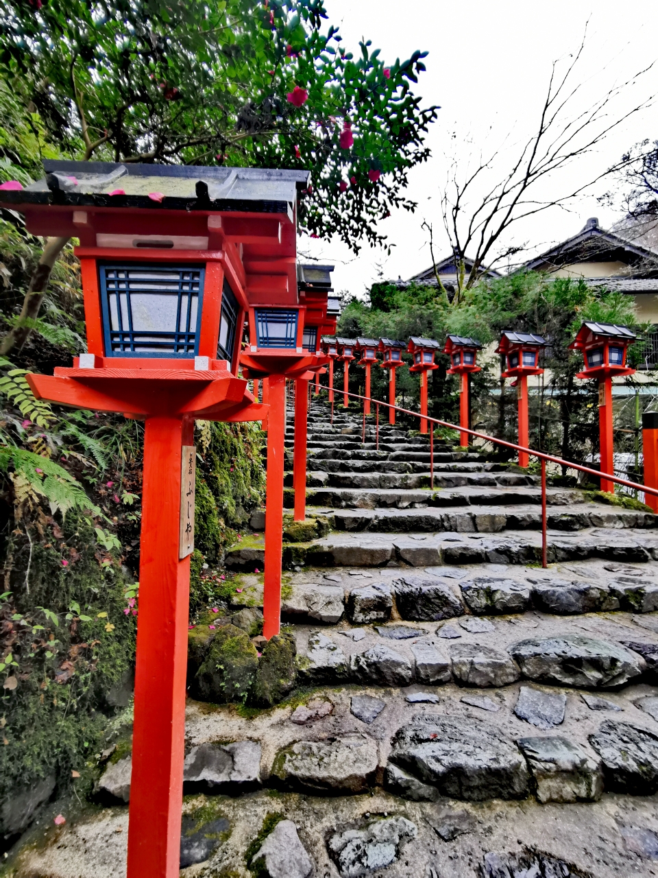 京都自助遊攻略