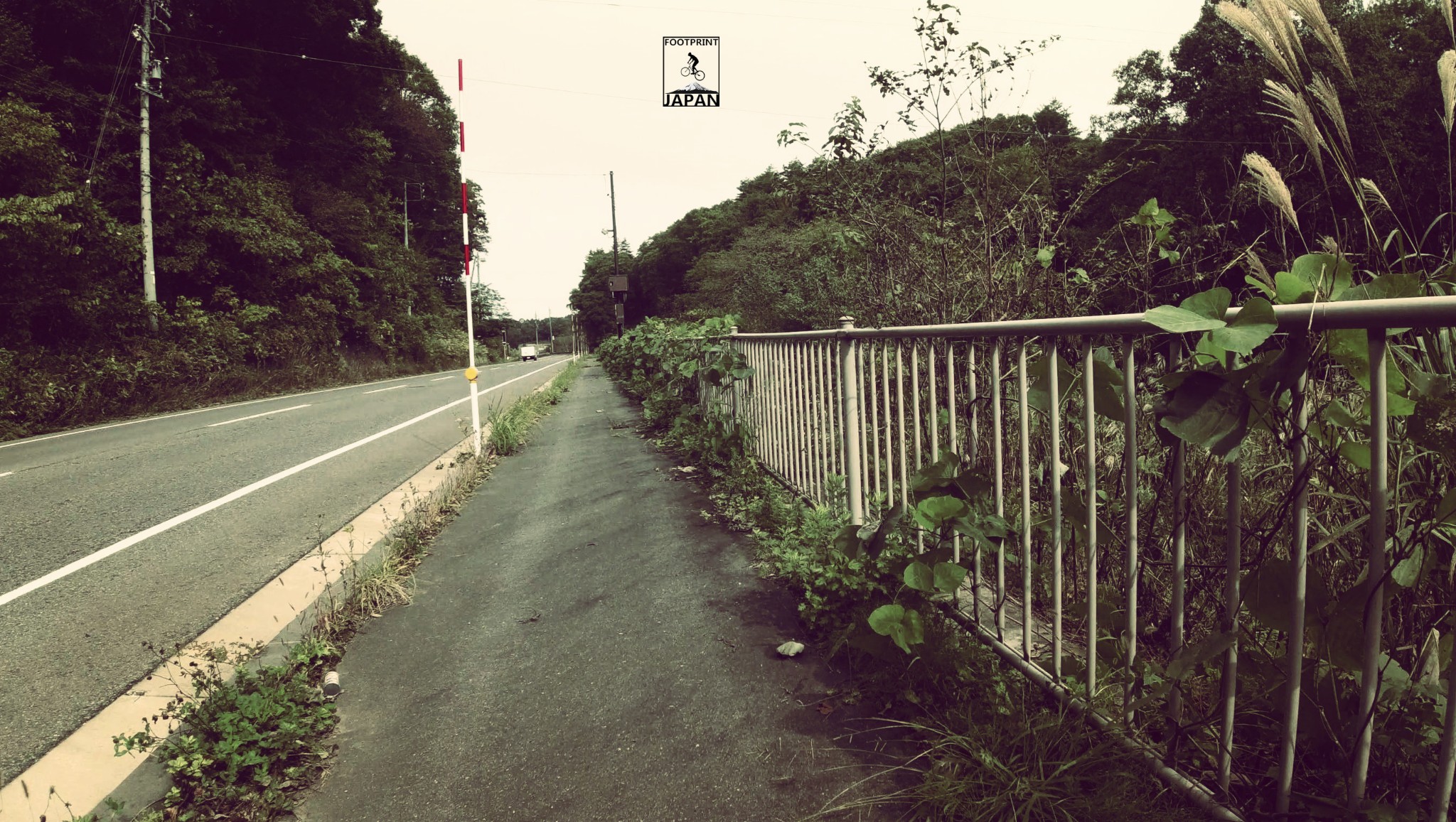 東京自助遊攻略