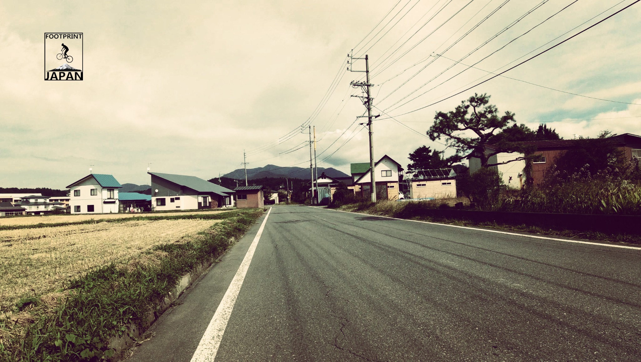 東京自助遊攻略