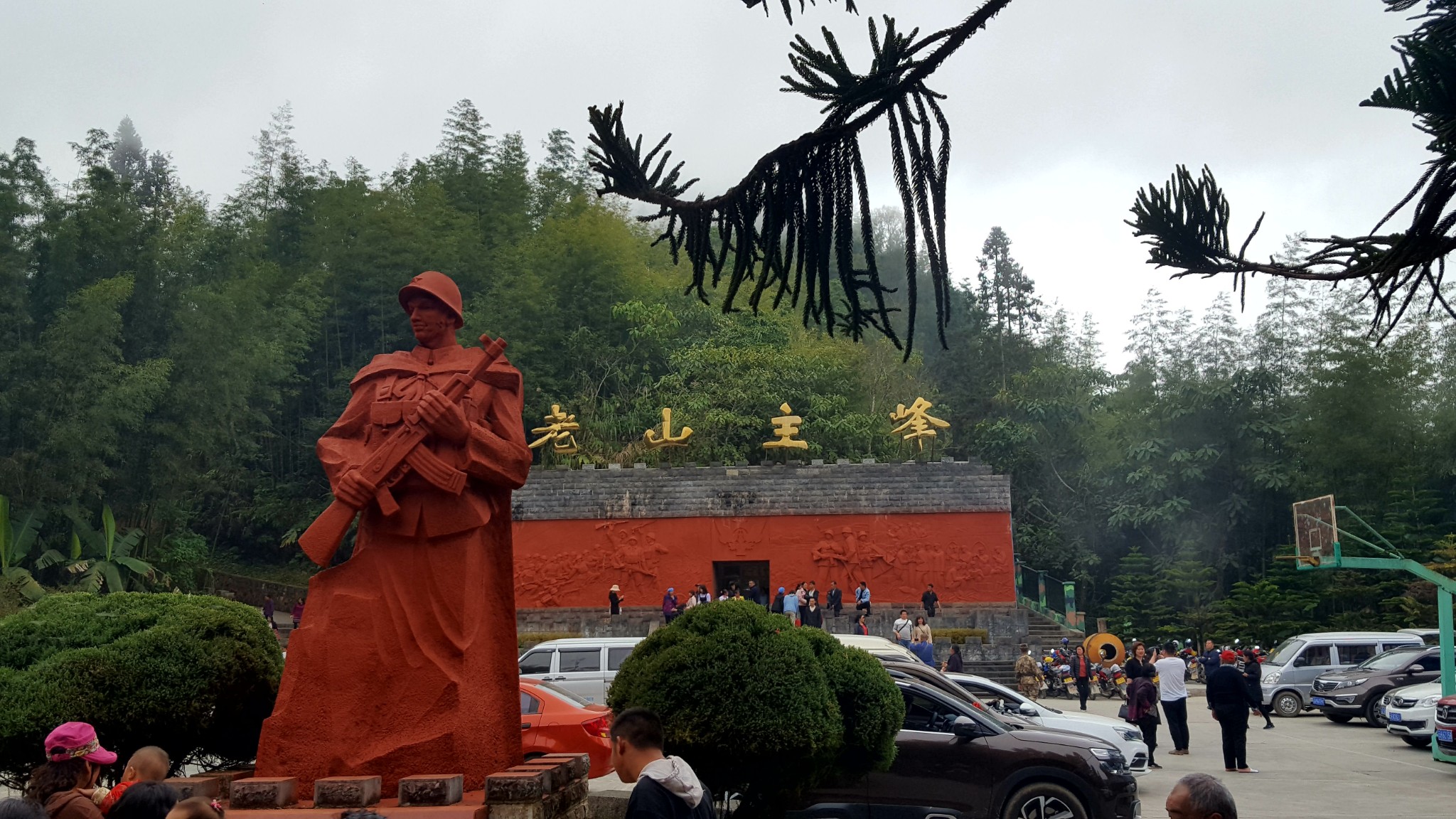 回复:麻雀西北飞21-04-08 21:37      老山位于云南省麻栗坡县