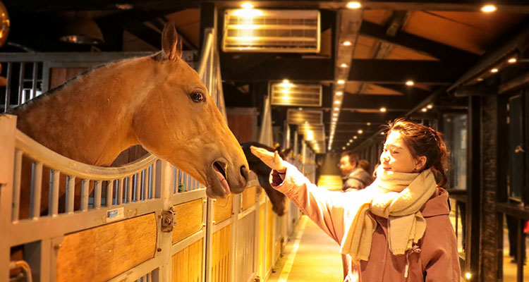 天山天池門票及區間車;贈送:新疆野馬古生態園門票(贈送項目如無法