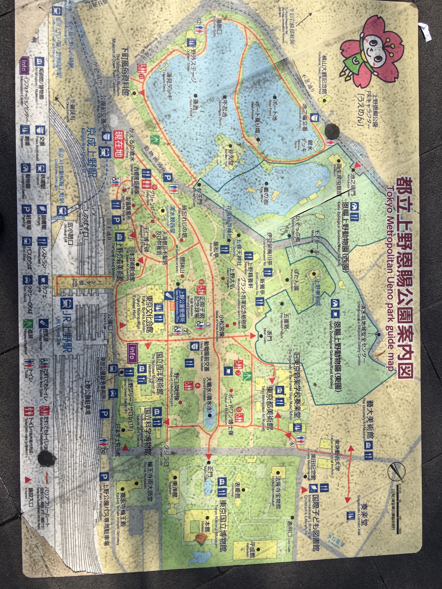 東京自助遊攻略