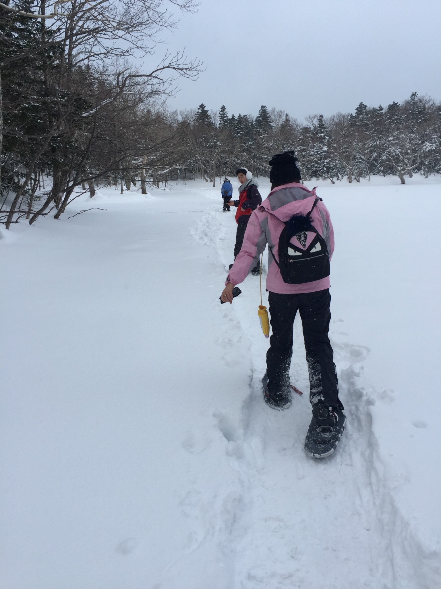 北海道自助遊攻略