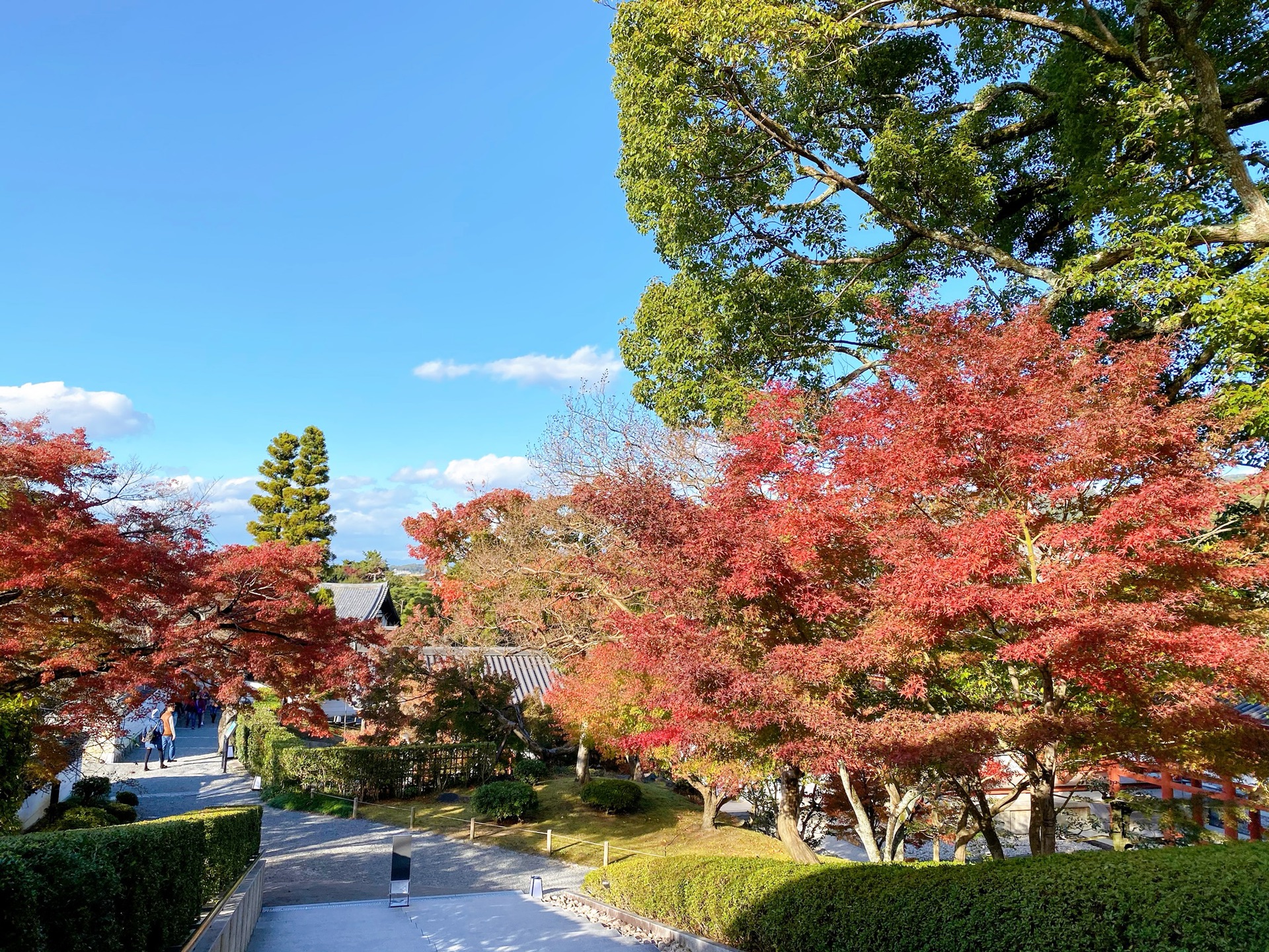 京都自助遊攻略