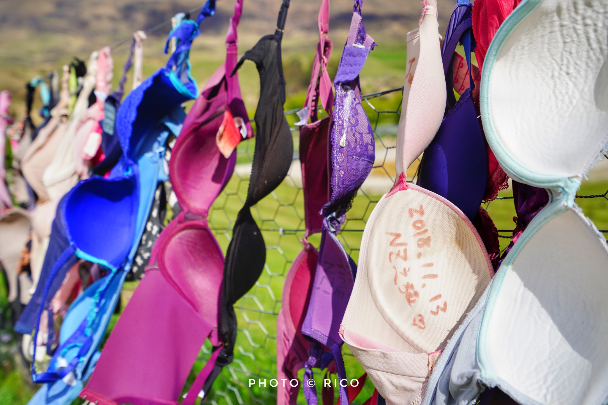 卡德罗纳胸罩围栏