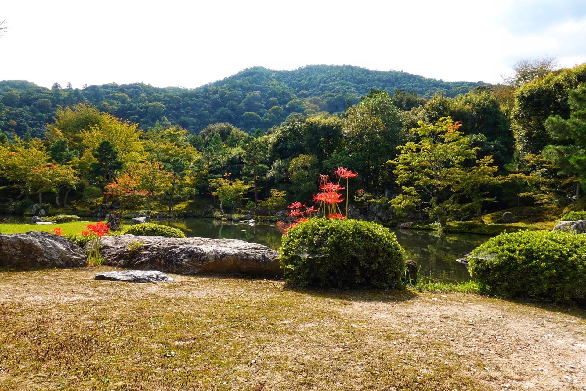 京都自助遊攻略