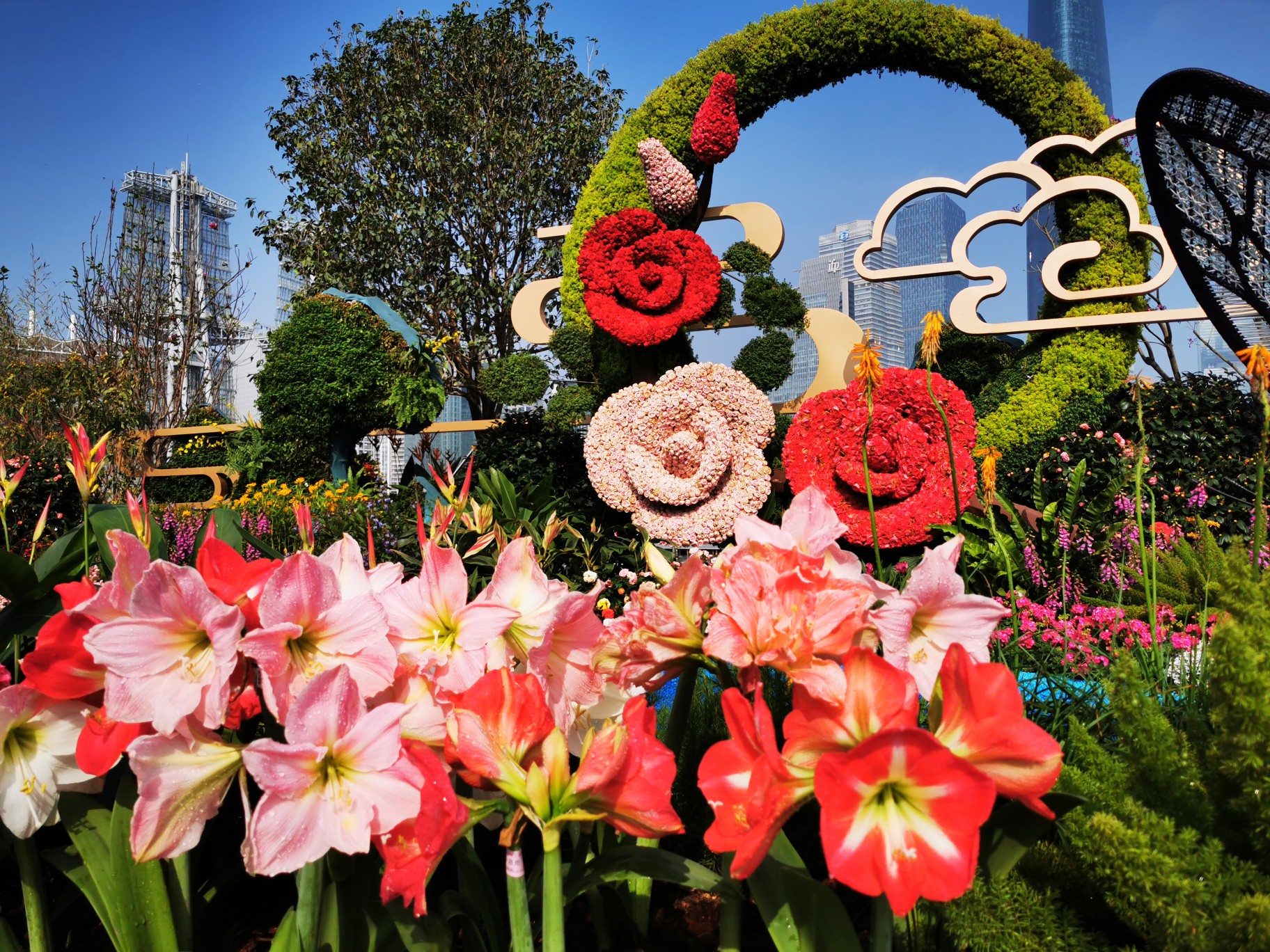 2020广州过年花城看花