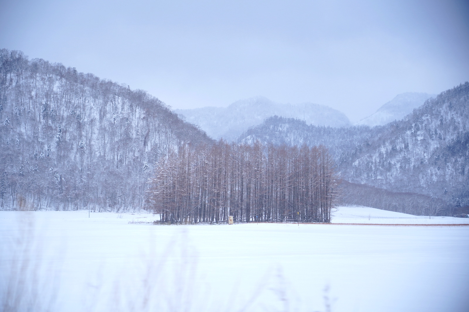 北海道自助遊攻略