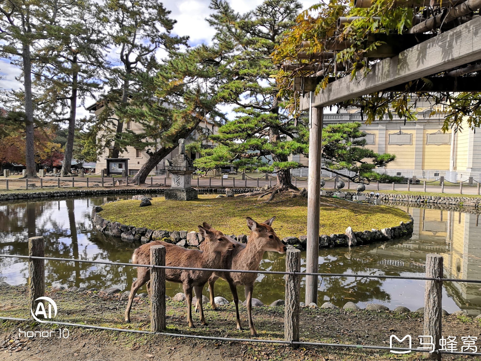 京都自助遊攻略