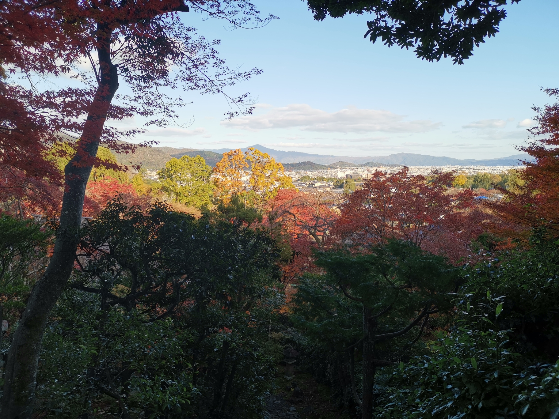 京都自助遊攻略