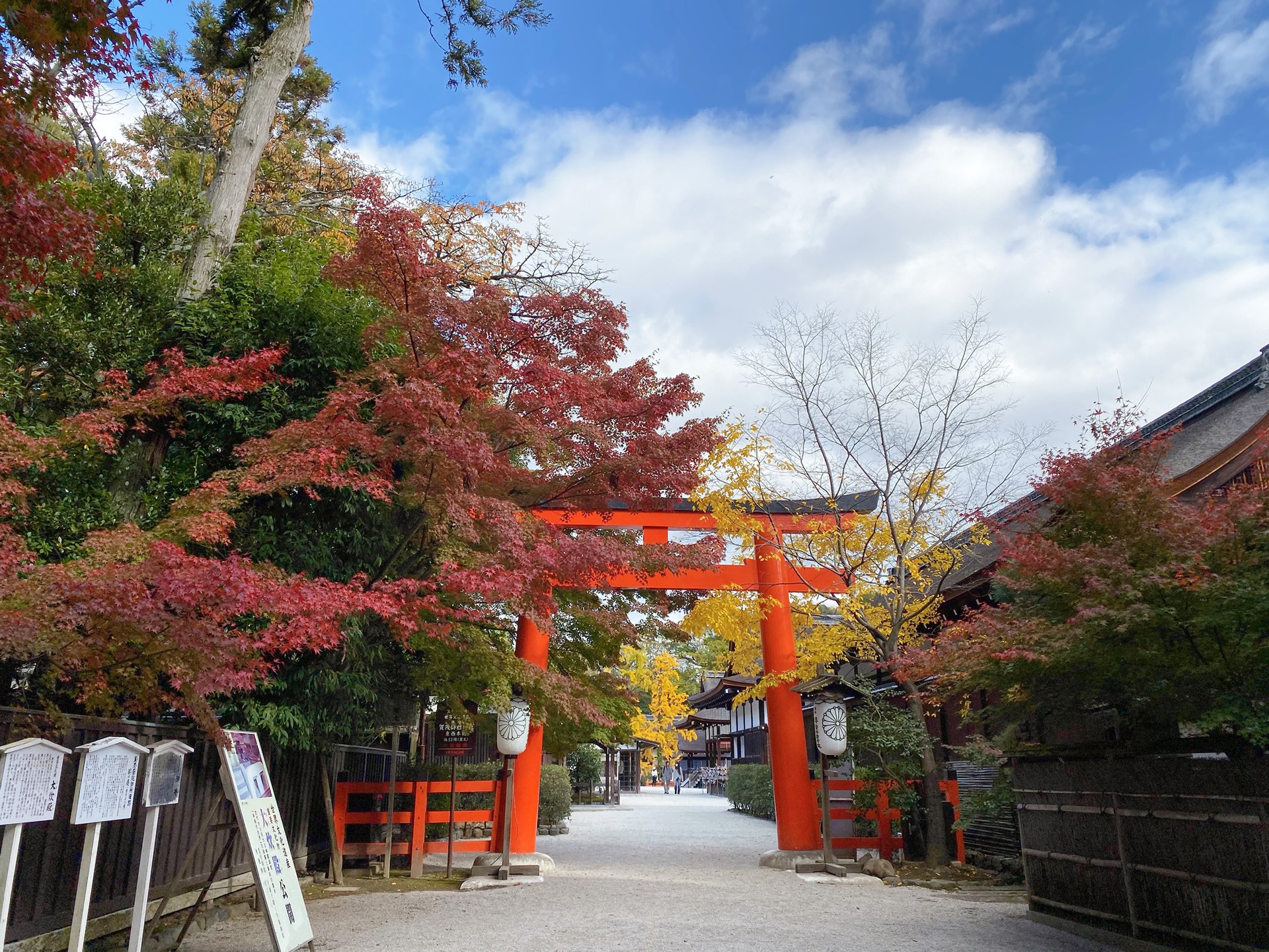 京都自助遊攻略