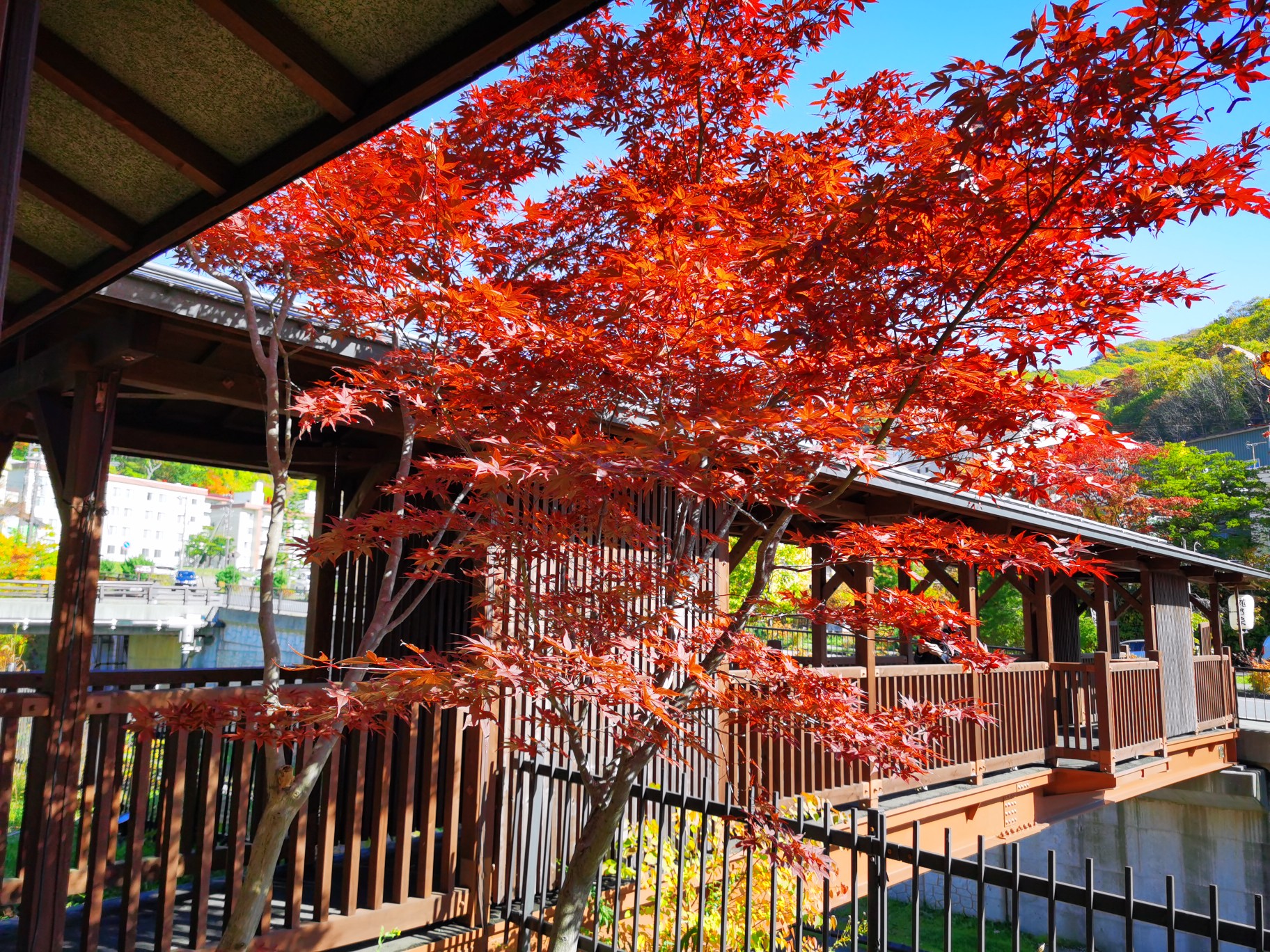 札幌自助遊攻略