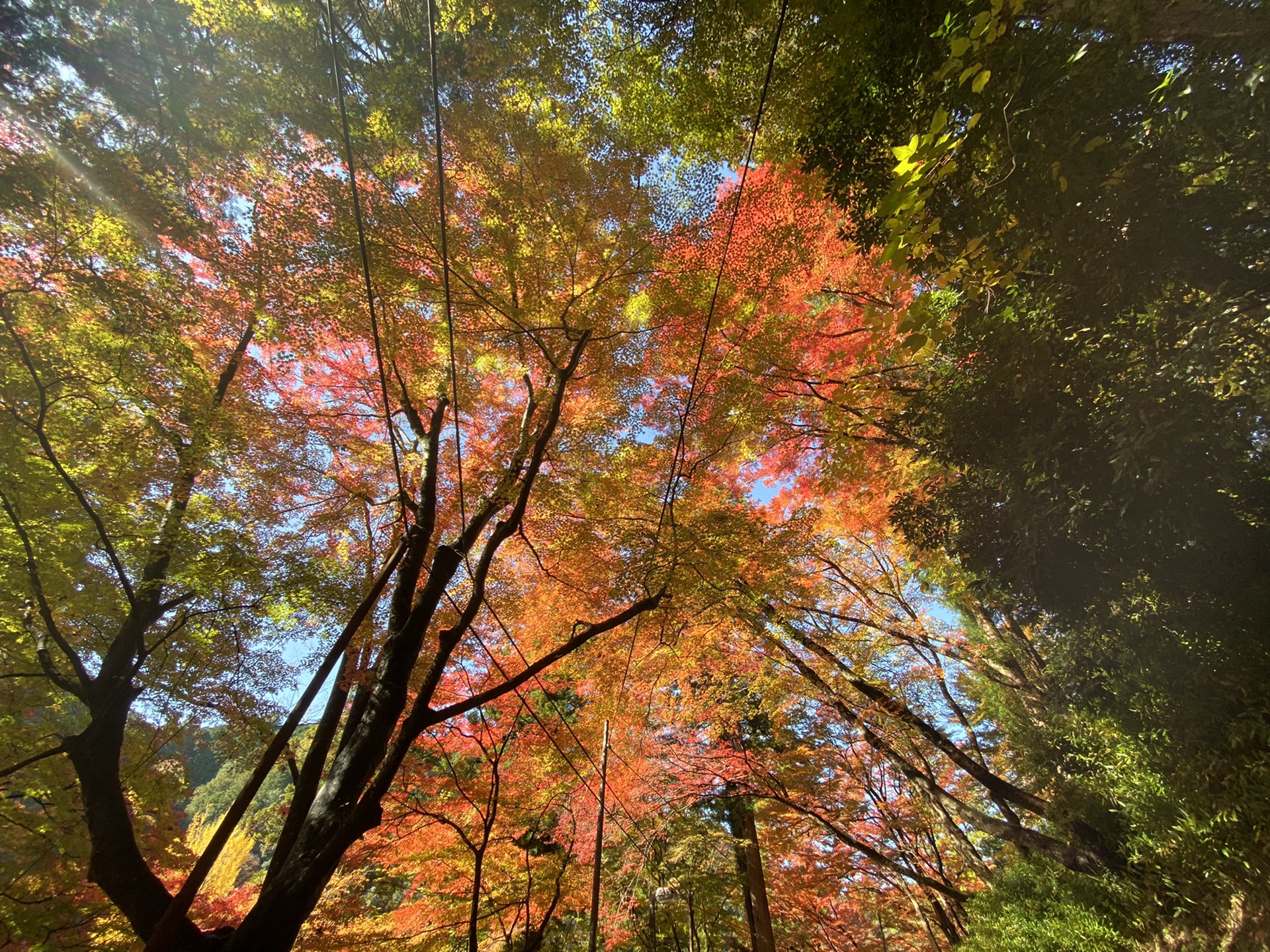 名古屋自助遊攻略