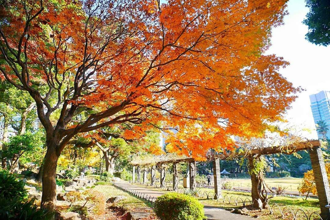 東京自助遊攻略