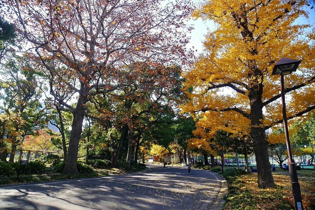 東京自助遊攻略