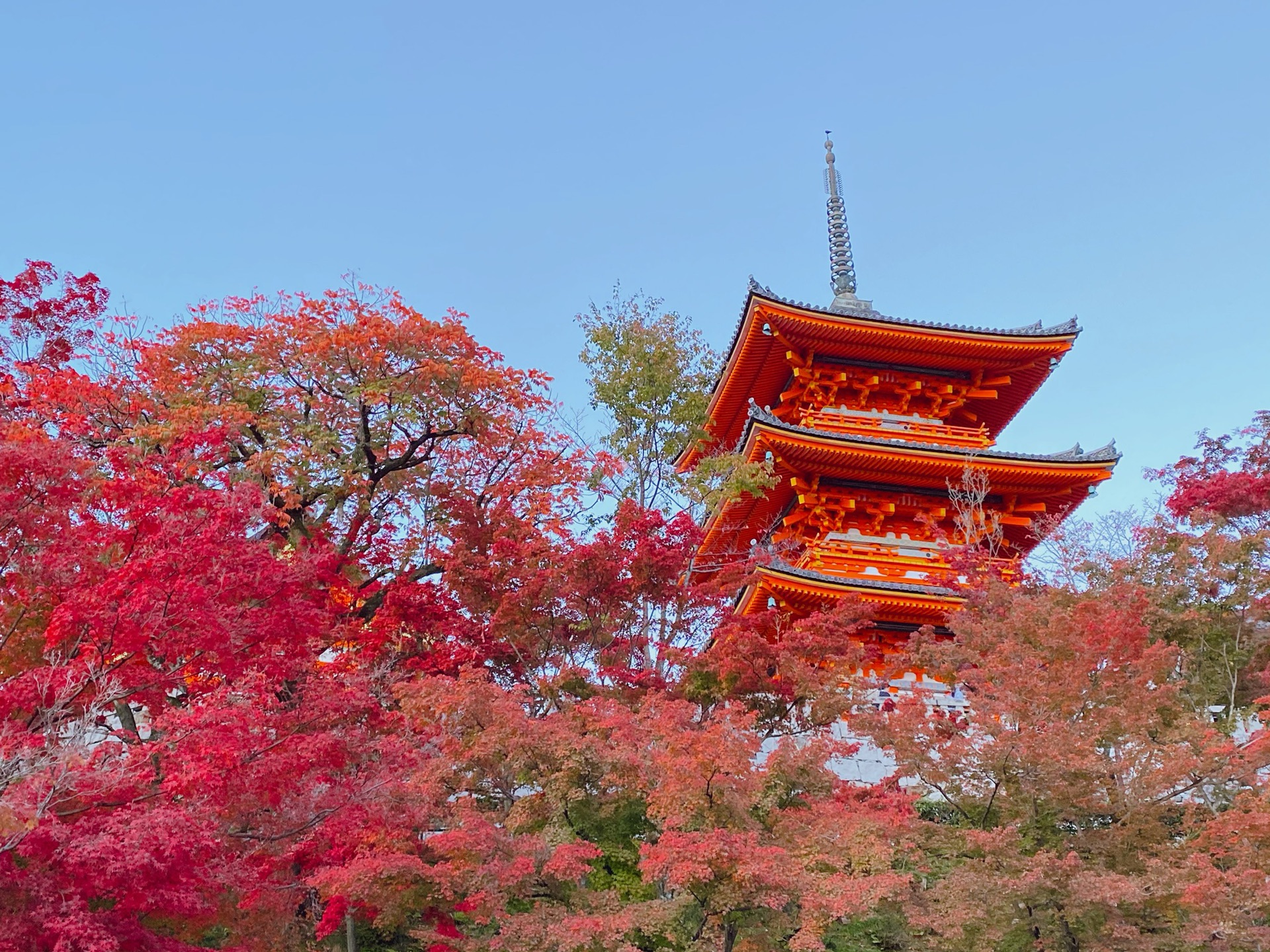 京都自助遊攻略