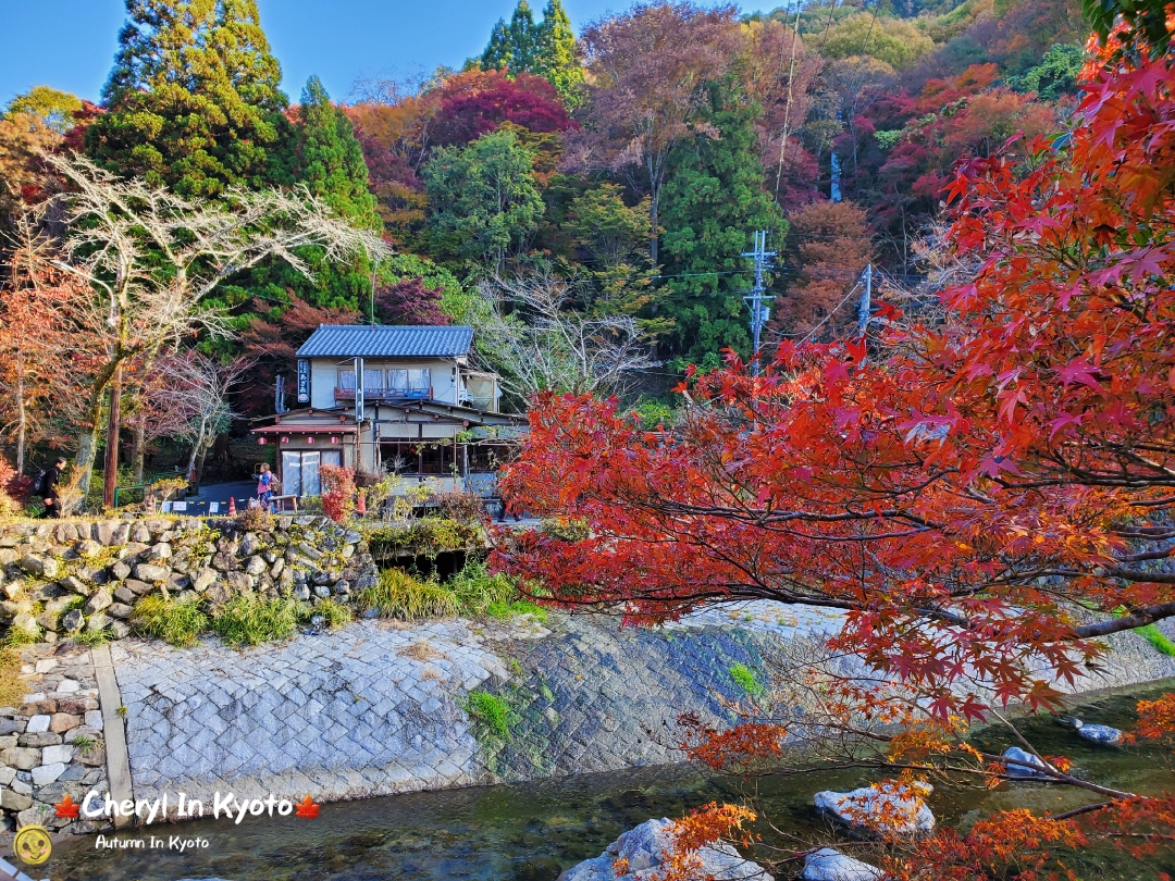 京都自助遊攻略