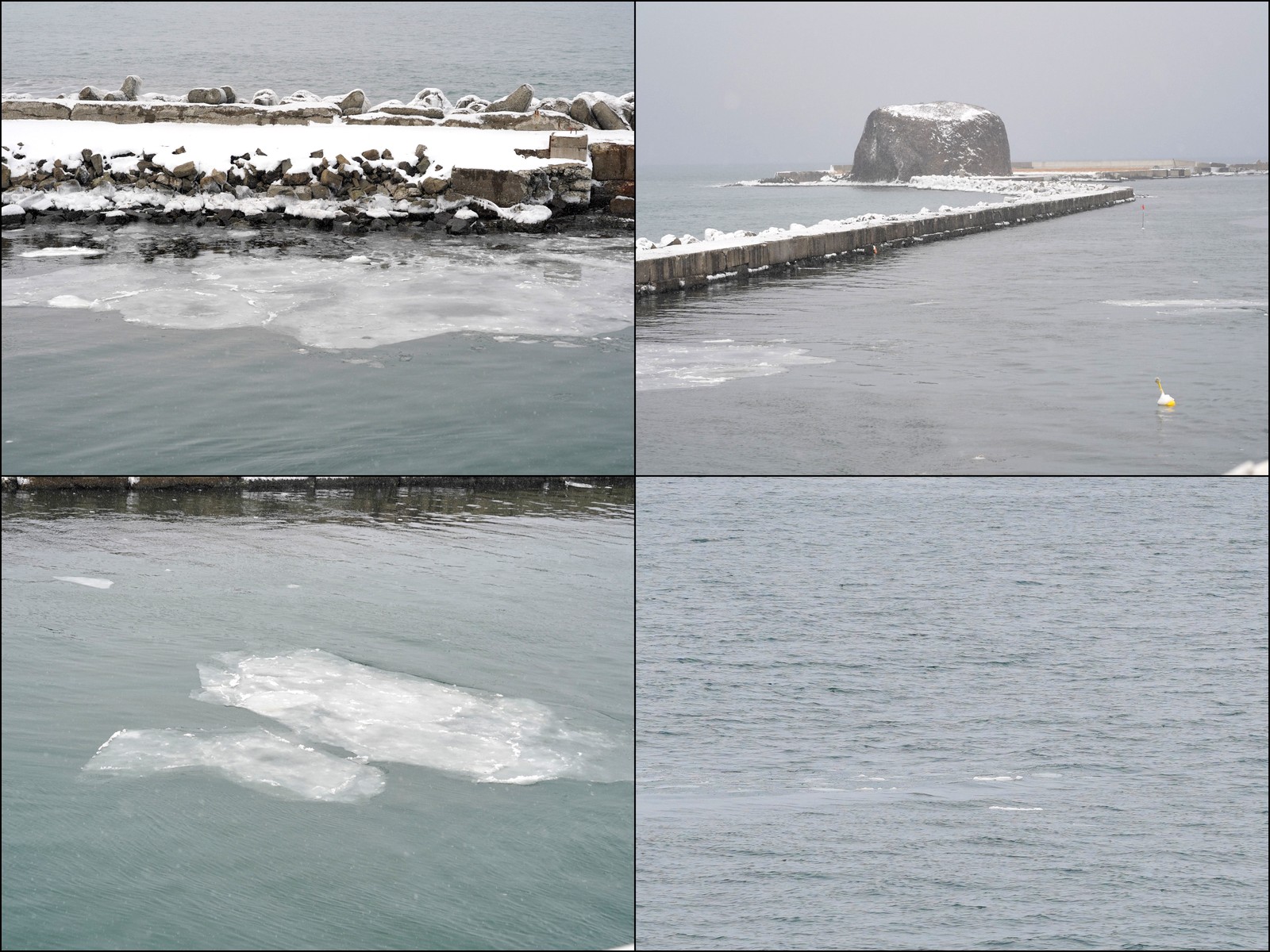 北海道自助遊攻略