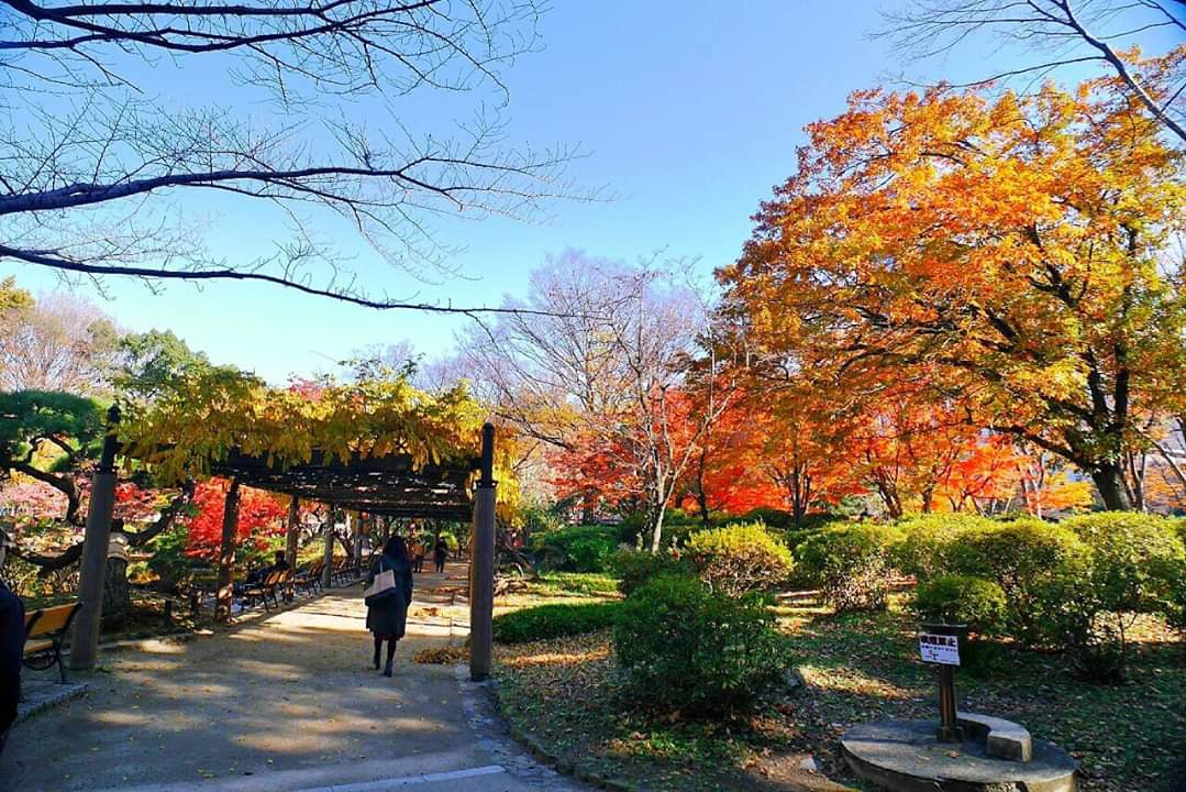 東京自助遊攻略