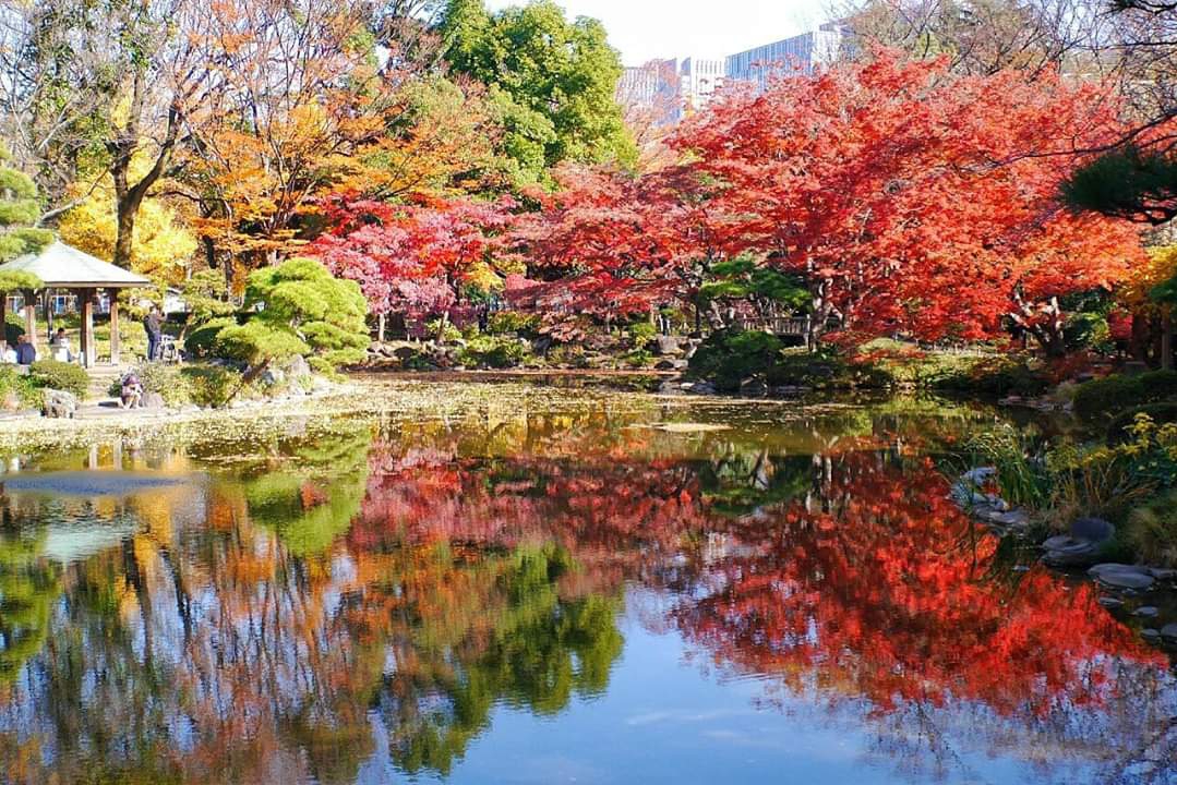 東京自助遊攻略