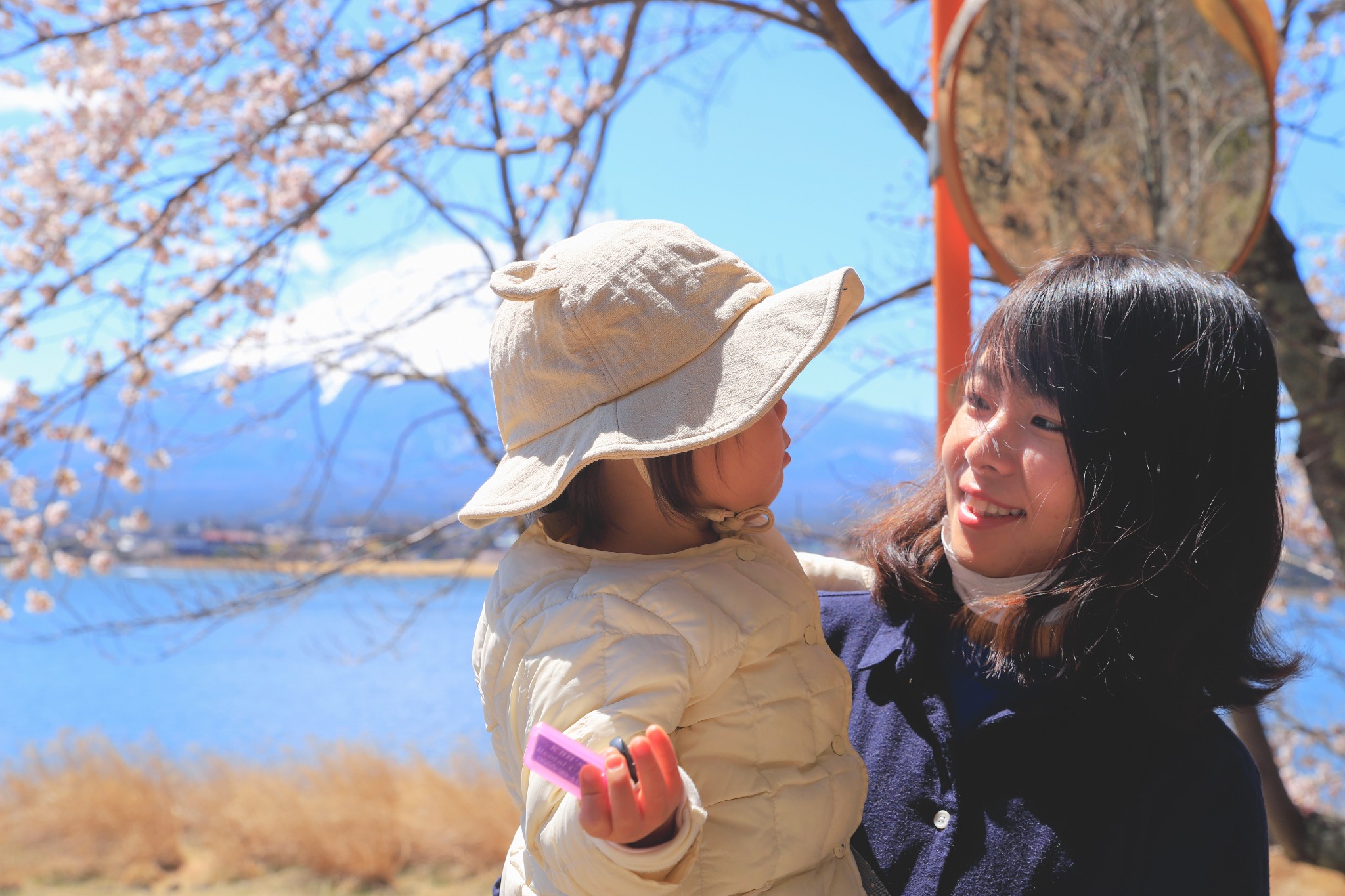 富士山自助遊攻略