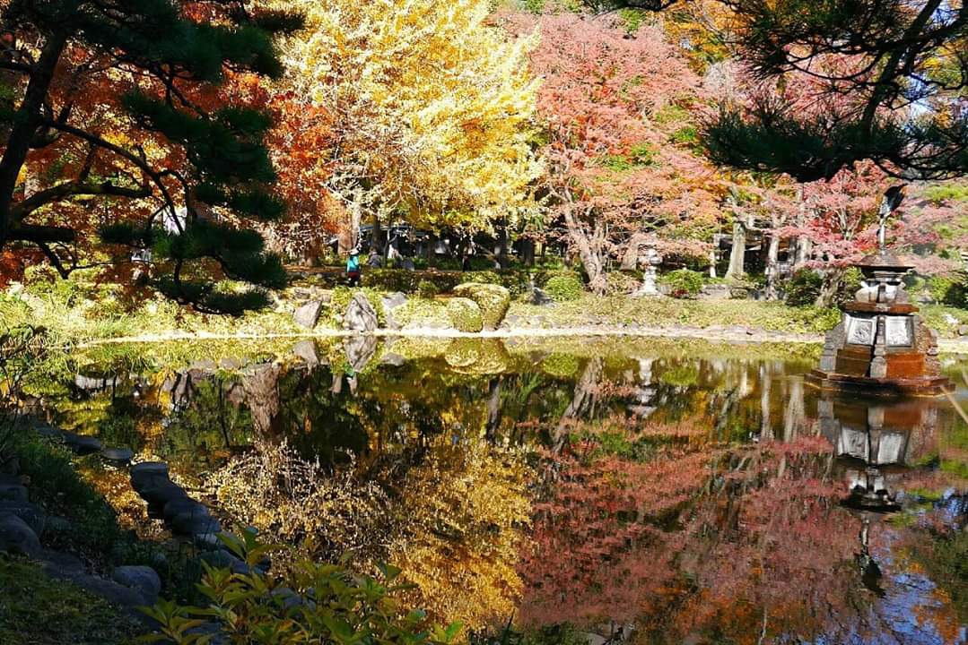 東京自助遊攻略