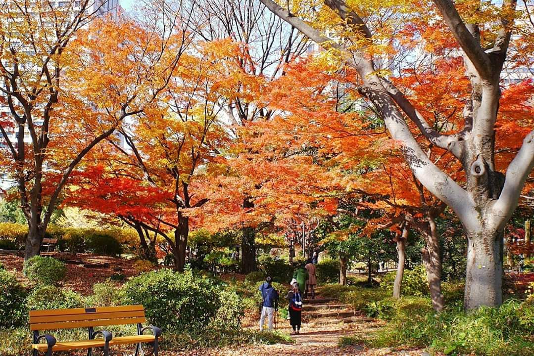 東京自助遊攻略