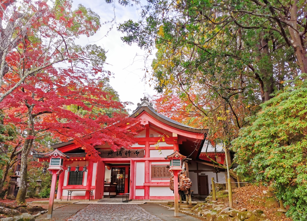 京都自助遊攻略