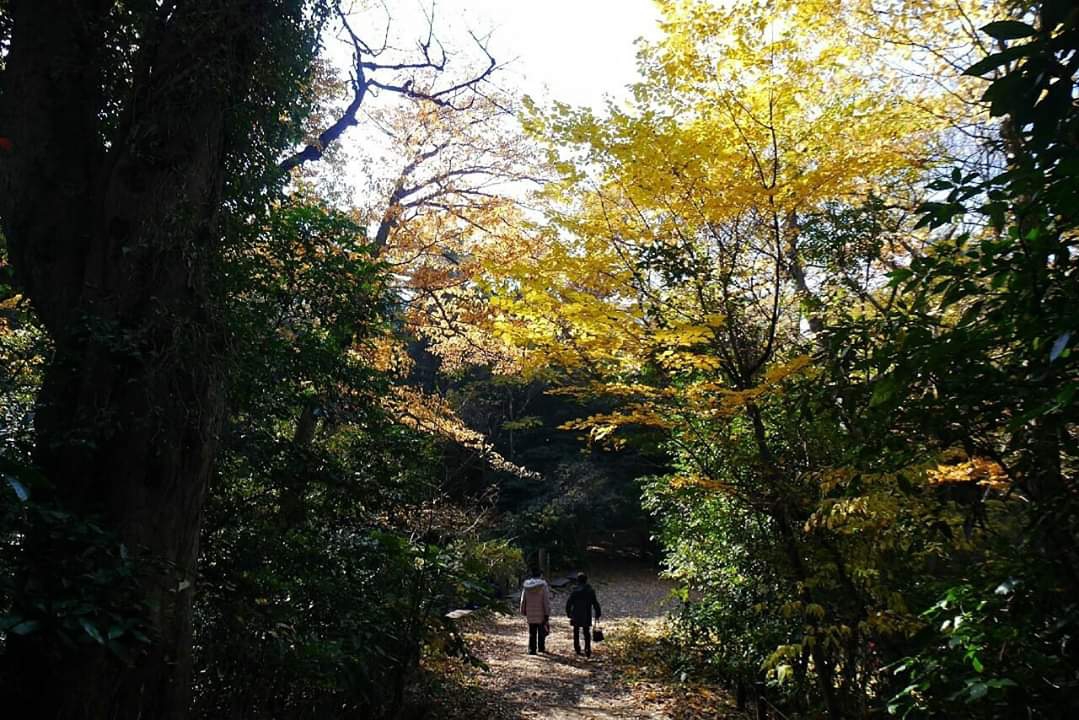 東京自助遊攻略