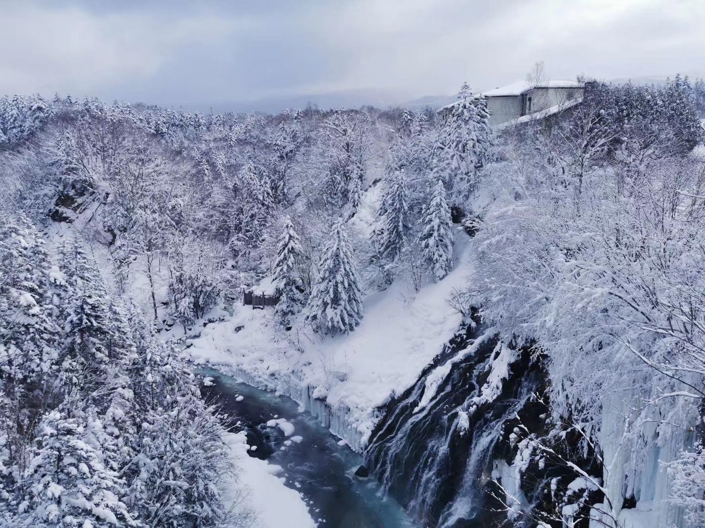 北海道自助遊攻略