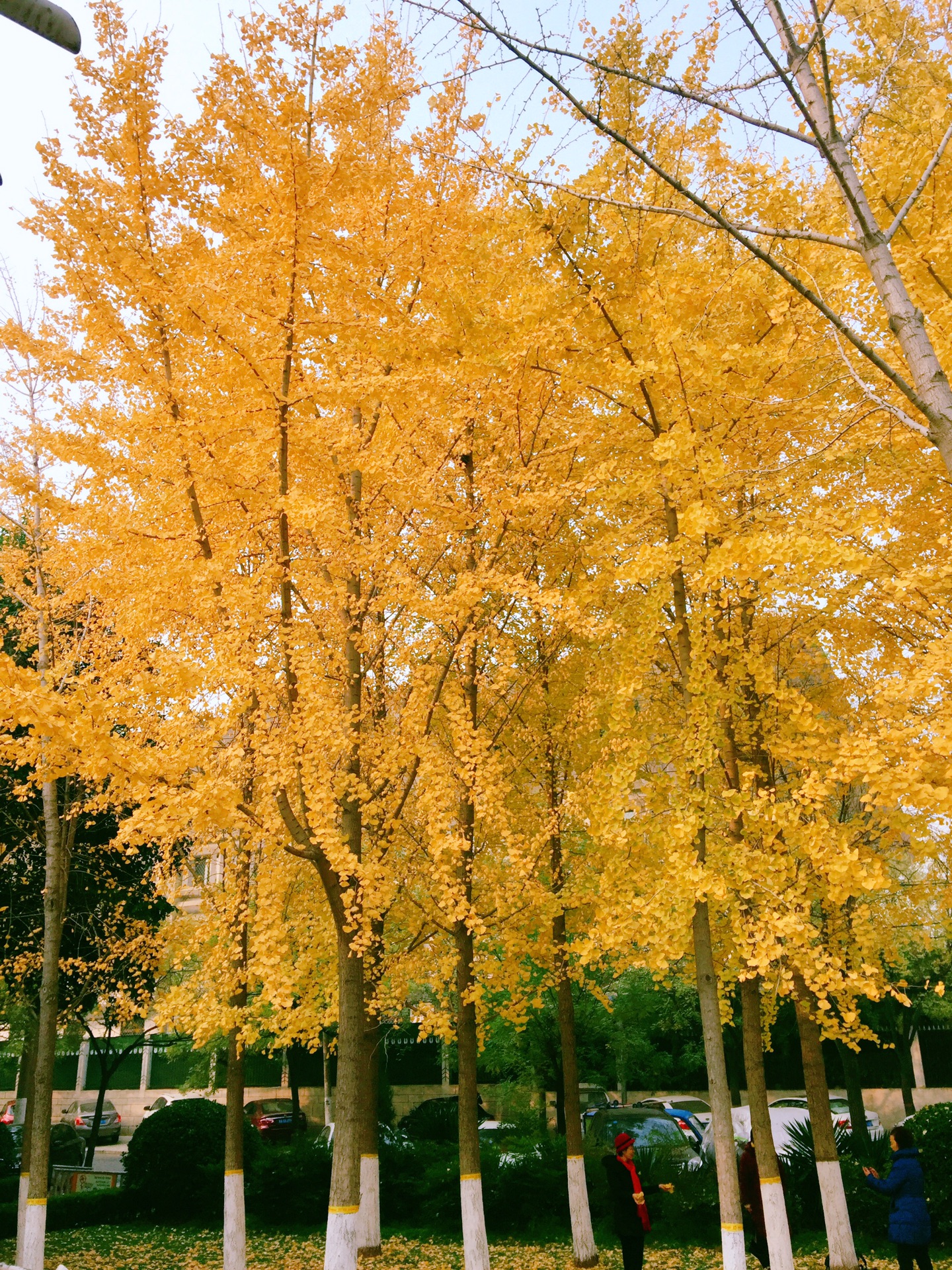 文博公園