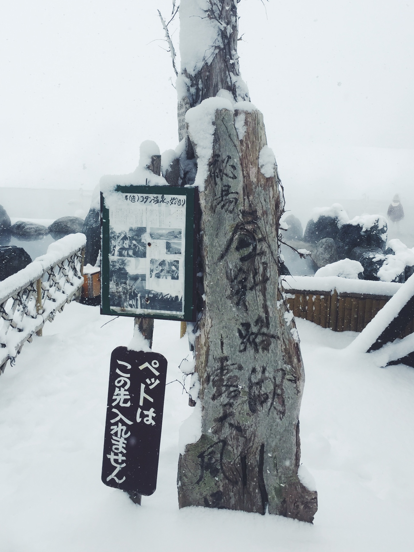 北海道自助遊攻略