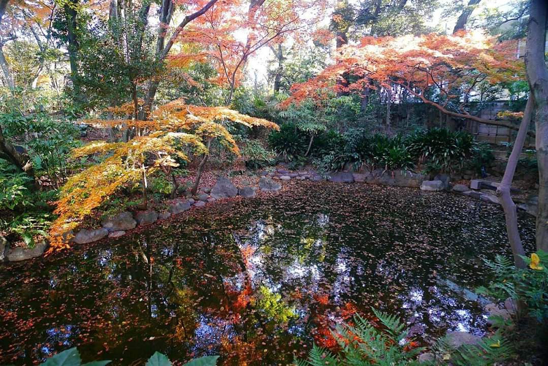 東京自助遊攻略