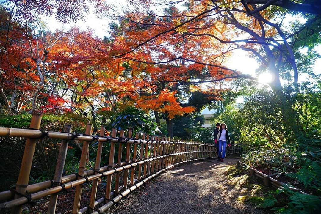 東京自助遊攻略