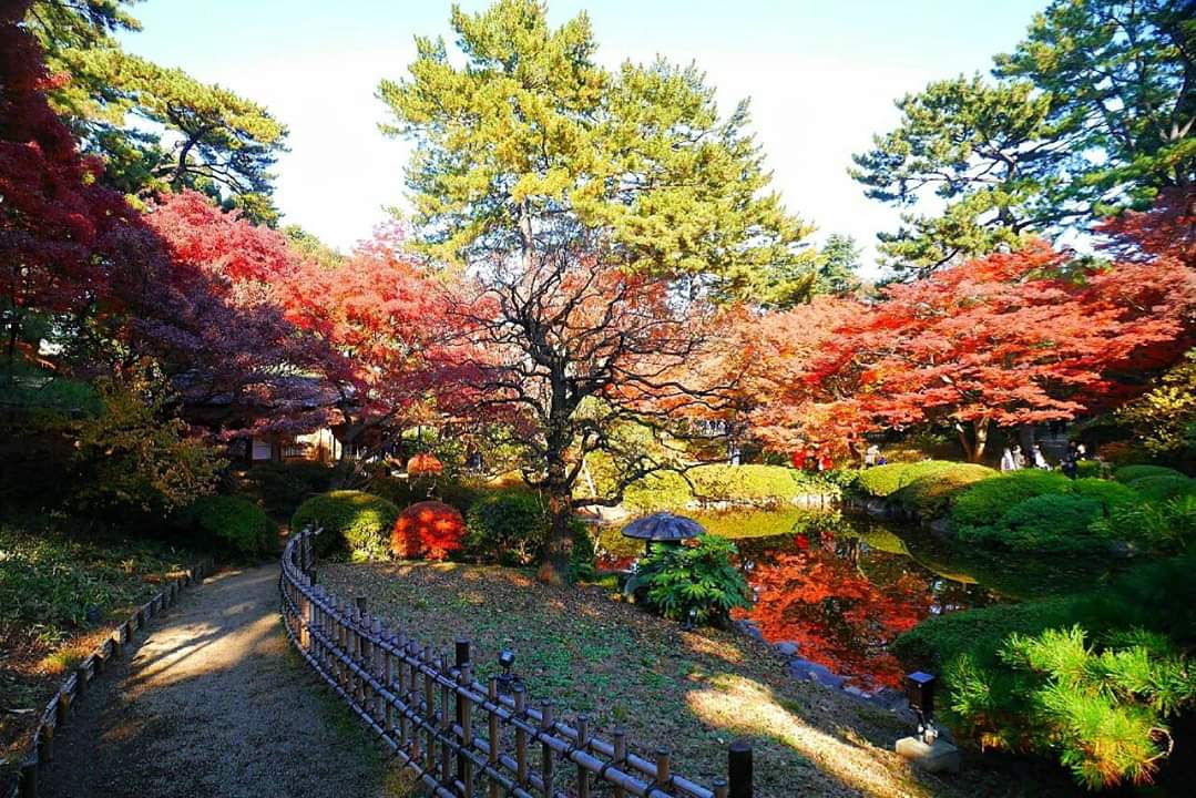 東京自助遊攻略