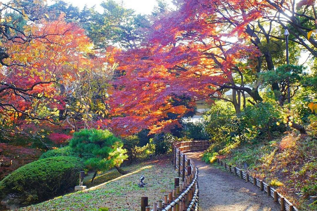 東京自助遊攻略