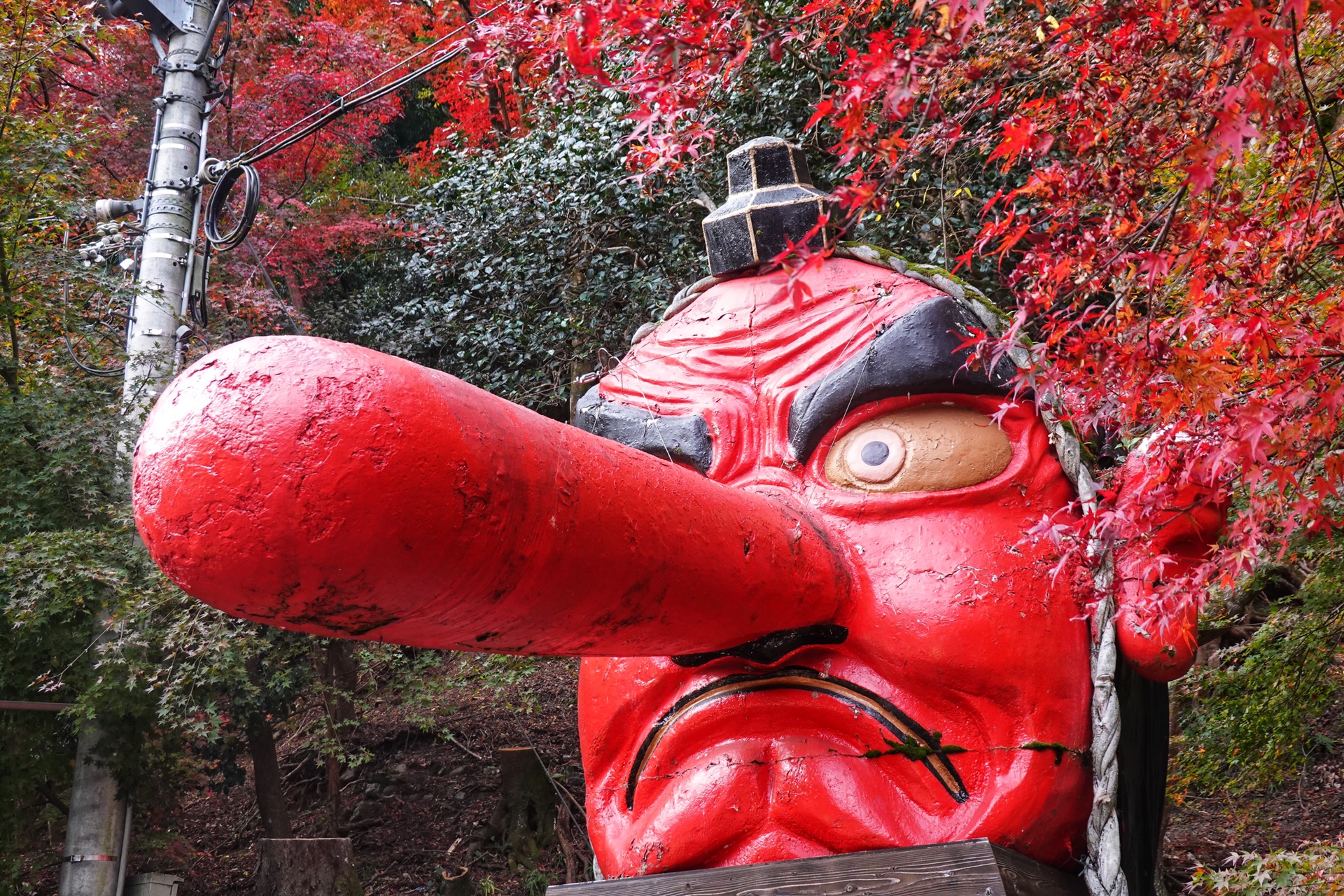 京都自助遊攻略