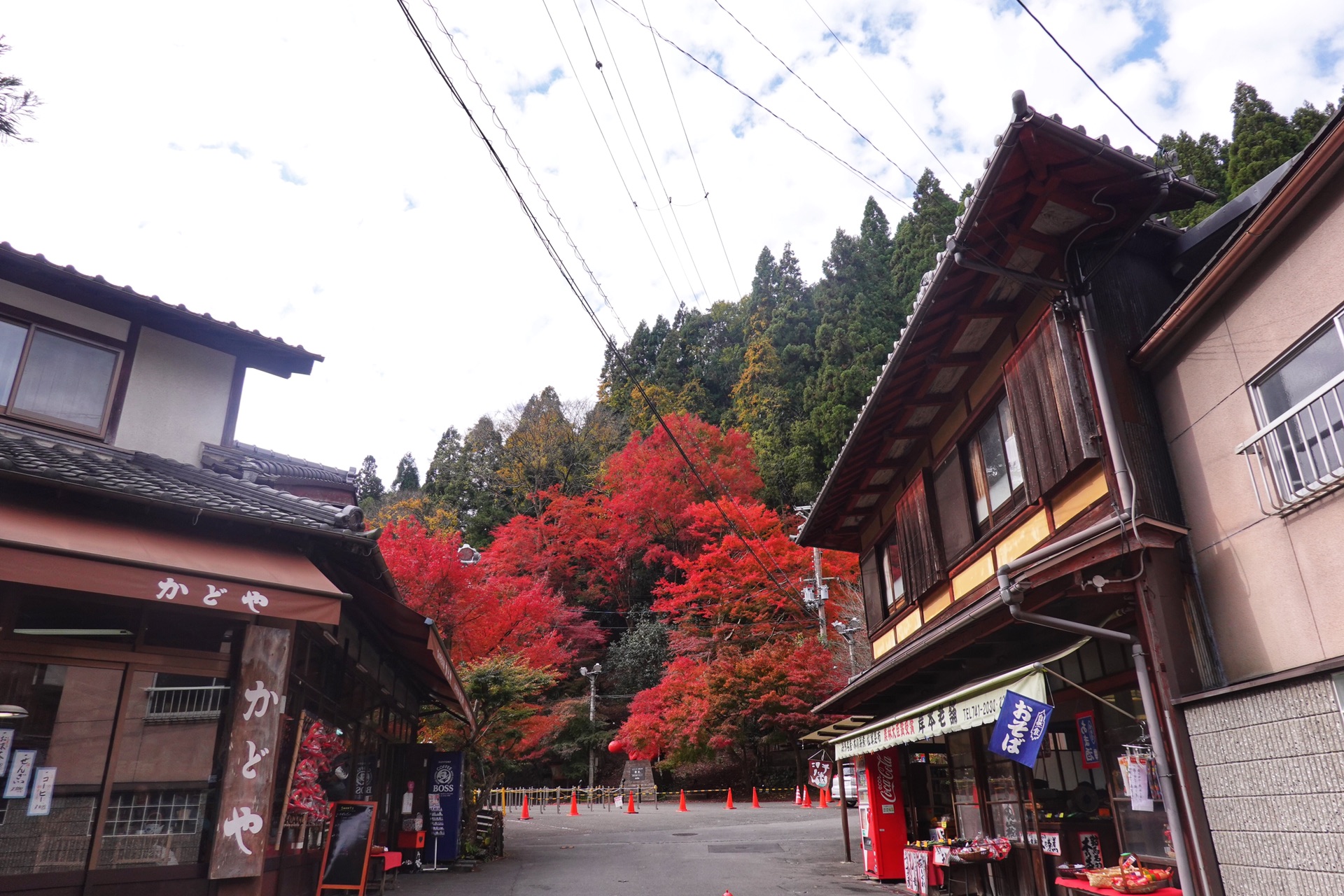 京都自助遊攻略