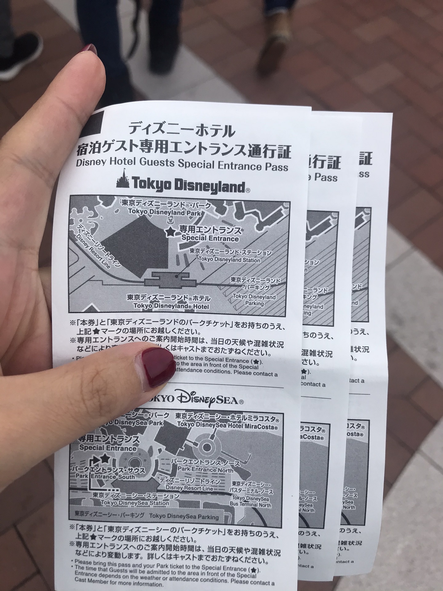 北海道自助遊攻略