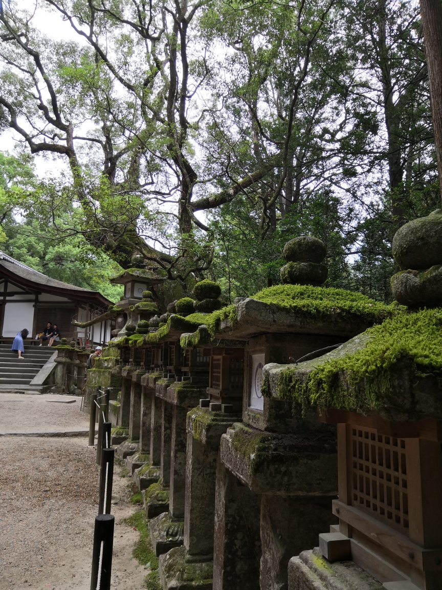 京都自助遊攻略