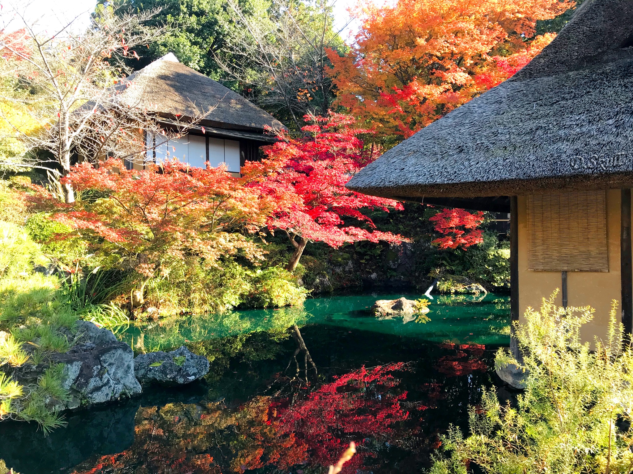 京都自助遊攻略