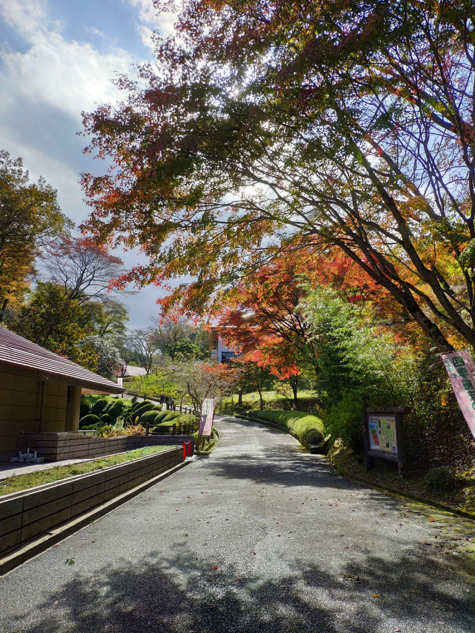 名古屋自助遊攻略