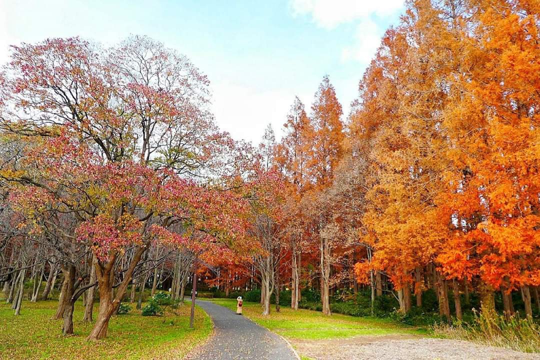 東京自助遊攻略